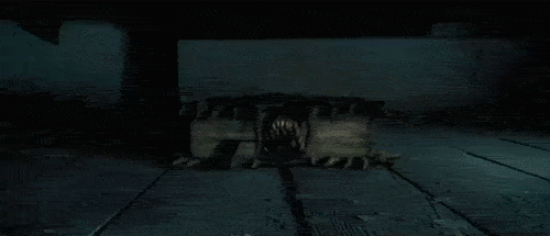 photo tumblr_ldmiwh91t91qfvra2o1_500.gif