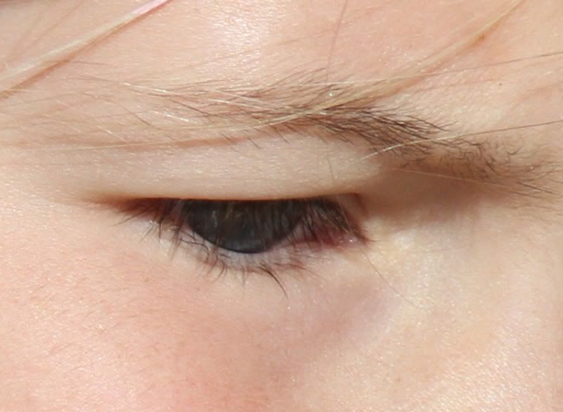 IMAGE: http://i99.photobucket.com/albums/l283/phoneydg/IMG_5202.jpg