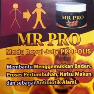 madu propolis mr pro menambah berat nafsu makan anak kaskus madu propolis mr pro menambah berat nafsu makan anak kaskus