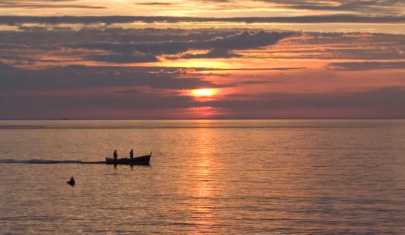 IMAGE: http://i99.photobucket.com/albums/l284/stave_2006/Misc/IMG_4575.jpg