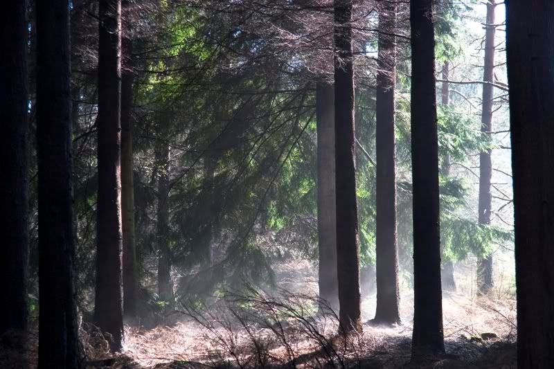 IMAGE: http://i99.photobucket.com/albums/l284/stave_2006/Misc/IMG_5137.jpg