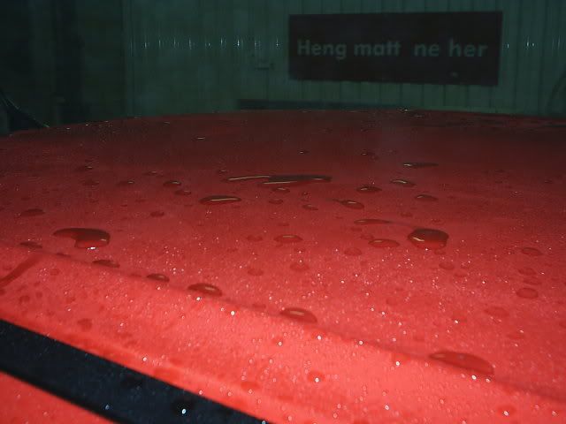 S2010032.jpg