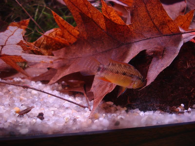 DSC04326.jpg