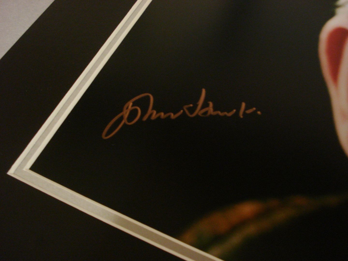 GENUINE HAND SIGNED AUTOGRAPH PHOTO FROM UP NORTH MEMORABILIA