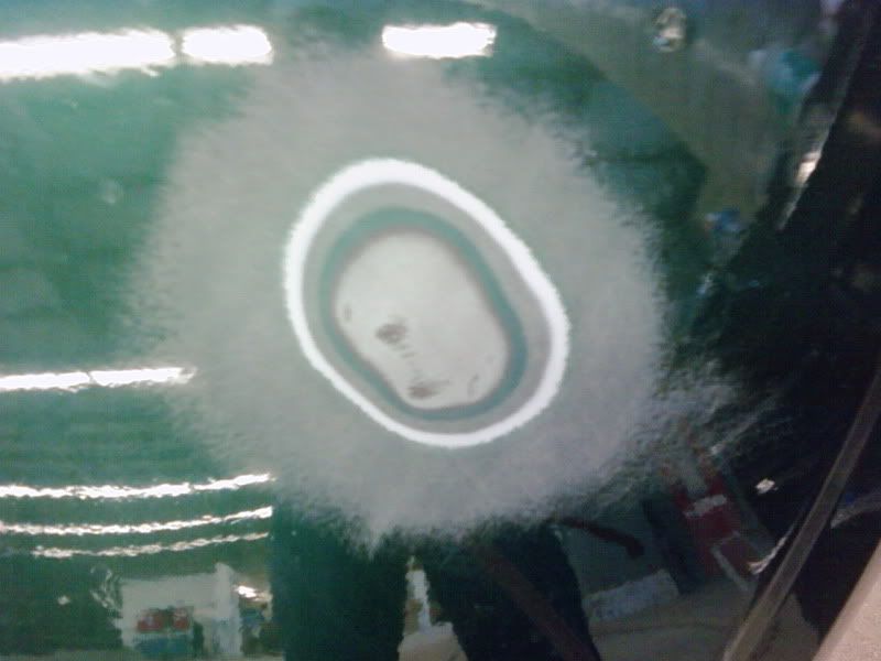 How to paint, polish and body repairs