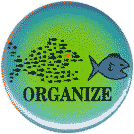 Organize