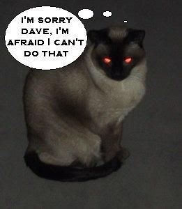 evilCattm-1.jpg