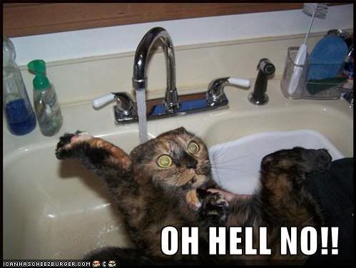 funny-pictures-cat-scared-sink-wate.jpg