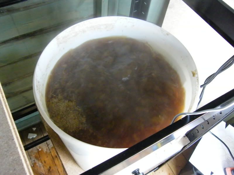 Click Here To See Image Full Size Image