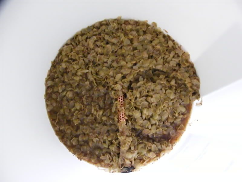 Click Here To See Image Full Size Image