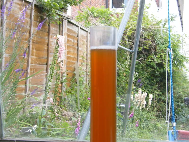 Click Here To See Image Full Size Image