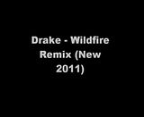 Drake+2011+quotes