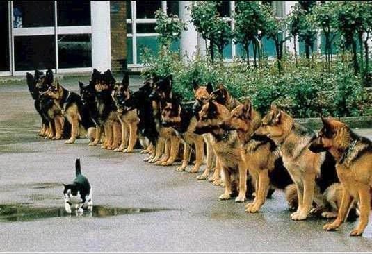 Courage