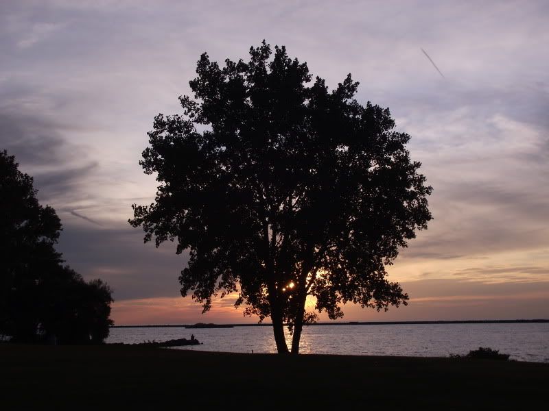 DSCF2551.jpg