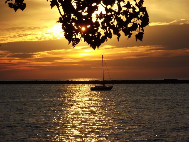 DSCF2558.jpg