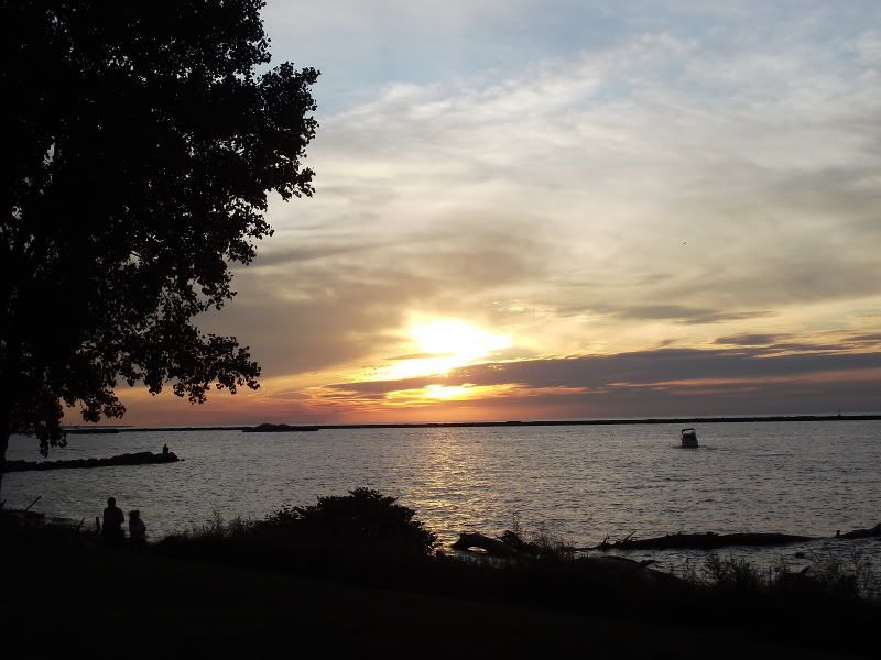 DSCF2562.jpg