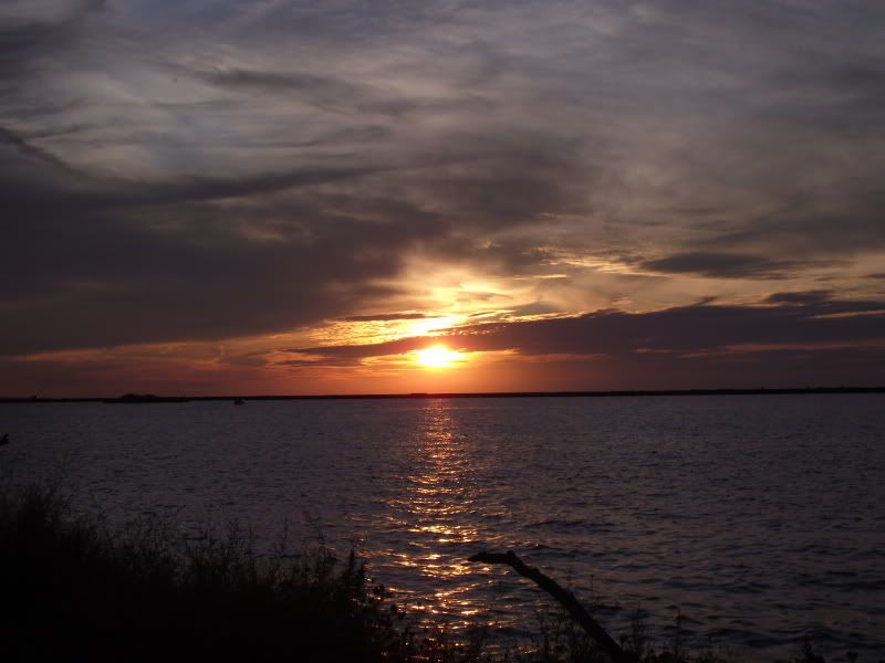 DSCF2565.jpg