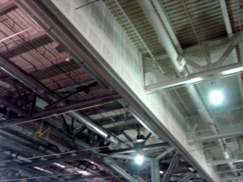 DSC08773Medium.jpg