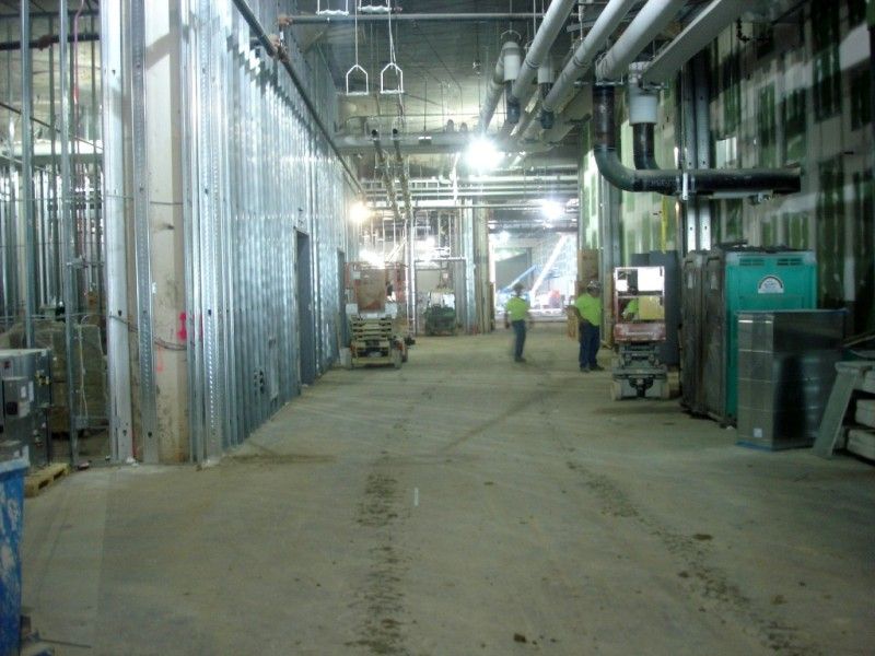 DSC08789Medium.jpg