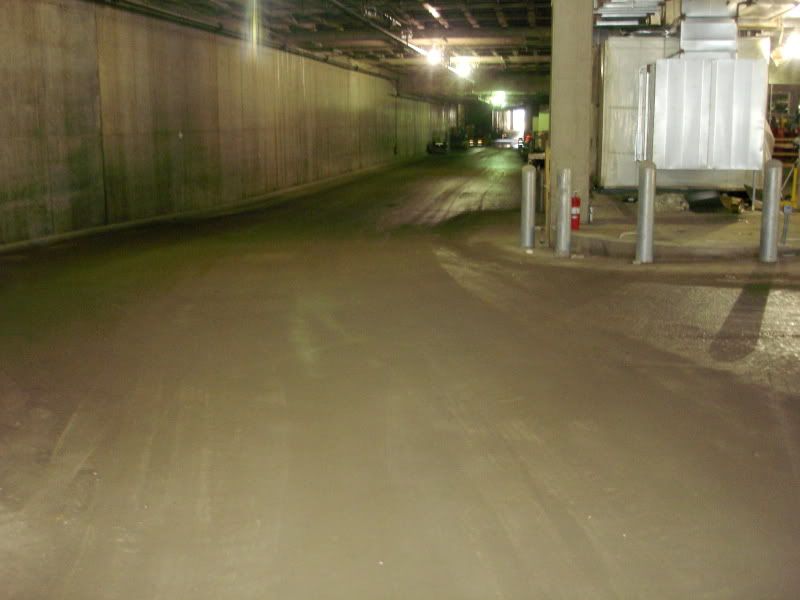 DSC08230.jpg