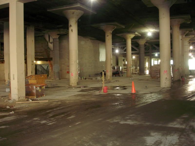 DSC08250.jpg