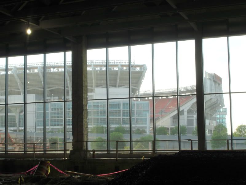 DSC08254.jpg