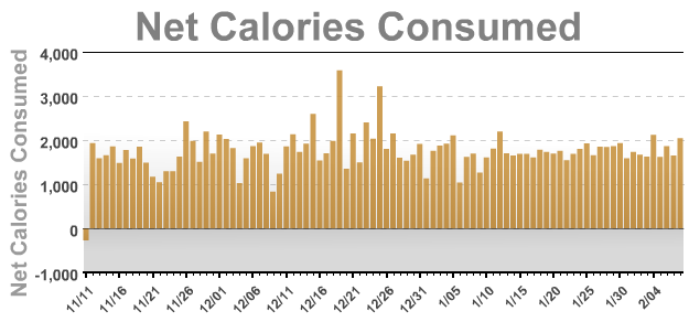 netcalories20130208_zpsff2a9b33.png