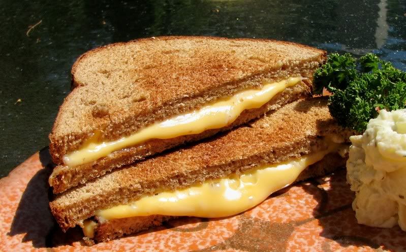 IMG_4661.jpg Toasted Grilled Cheese Sandwich #231556 image by vlb8220