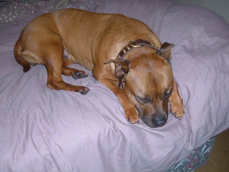 2004_0101DeeDee0004.jpg