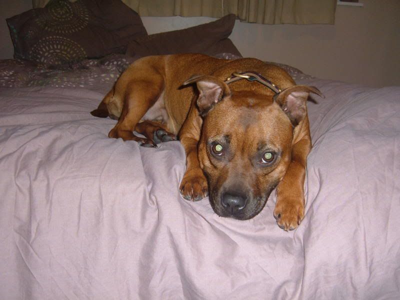 2004_0101DeeDee0005.jpg