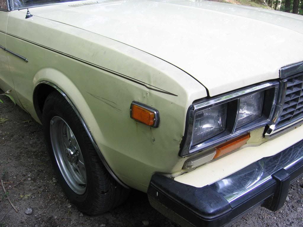 datsun810210.jpg