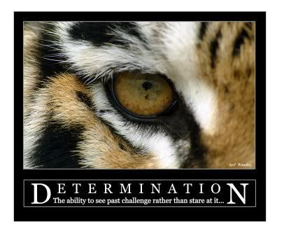 determination