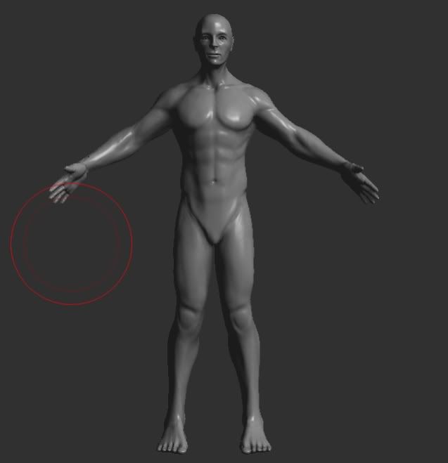 maleFigure.jpg