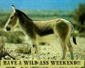 Wild ass weekend