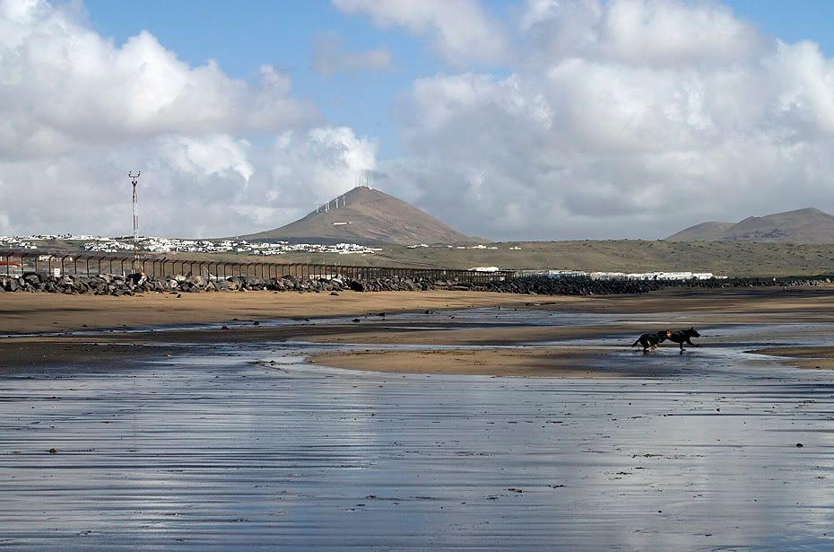 http://i99.photobucket.com/albums/l298/fredseg1/9554-BeachViewMorningLanzarote13-3-.jpg