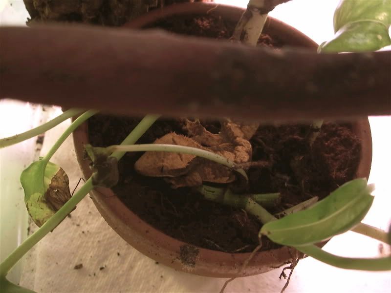100_1510.jpg
