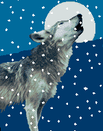 Wolf3.gif wolf image by merry_gentry
