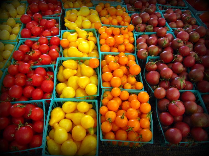 Tomatoes