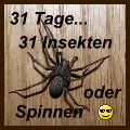 31 Tage - 31 Insekten oder Spinnen 8-)