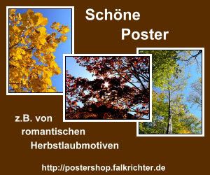 Hochwertige und schöne Poster, z.B. von romantischen Herbstlaubmotiven.