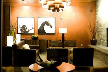 Hotel Terra- Adventure Girl Green Awards