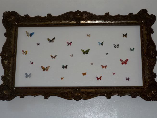 Collection