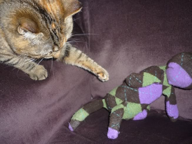 SockCatBeatdown