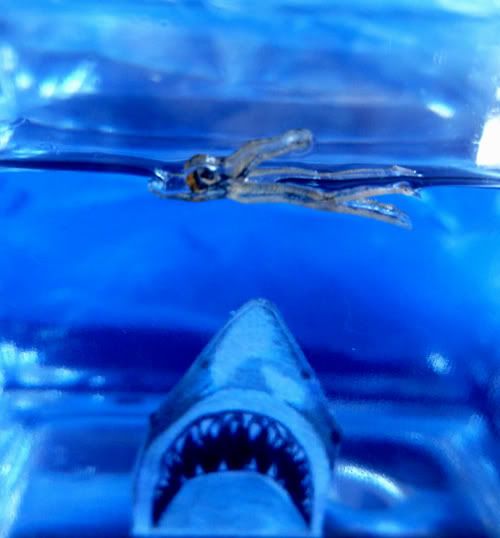 Jaws