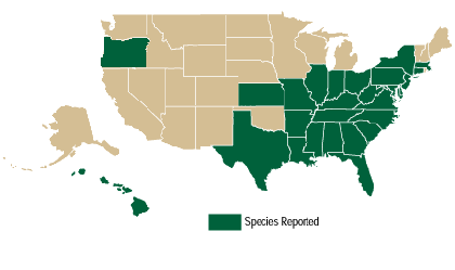 Kudzu Map