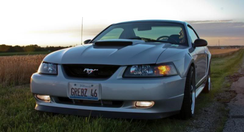 IMAGE: http://i99.photobucket.com/albums/l305/gnats46/IMG_2298.jpg