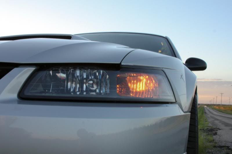 IMAGE: http://i99.photobucket.com/albums/l305/gnats46/IMG_2306-2.jpg