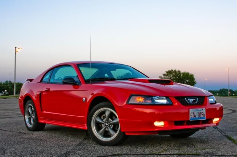 IMAGE: http://i99.photobucket.com/albums/l305/gnats46/IMG_2314.jpg