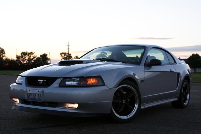 IMAGE: http://i99.photobucket.com/albums/l305/gnats46/IMG_2316.jpg