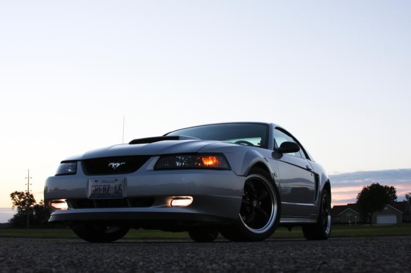 IMAGE: http://i99.photobucket.com/albums/l305/gnats46/IMG_2322.jpg